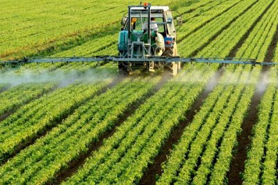 使用氮肥要注意什么，不能和碱性肥料、有机肥一起使用