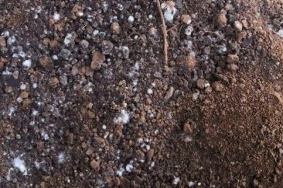 杂草沤肥的方法，把杂草放入加水的桶里即可