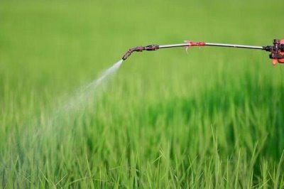 蔬菜叶面肥的种类，分为有机营养型、无机营养型和微生物型等