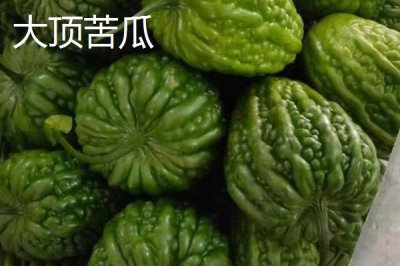 癞葡萄和苦瓜有什么区别，癞葡萄属于水果、苦瓜属于蔬菜