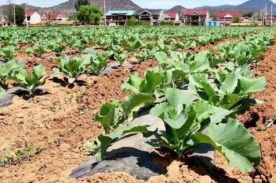 一亩地等于多少平方米,等于666.67平方米