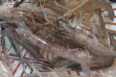 河虾和海虾有什么区别，前者呈青绿色、后者呈白色透明状