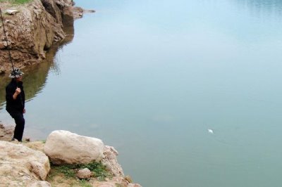 钓翘嘴鱼的技巧,主要以小鱼、小虾等活物为食