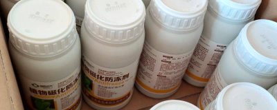 什么是植物防冻剂,是一类植物叶面肥