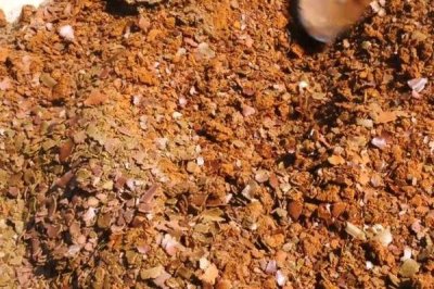 判断饼肥是否完成发酵的方法,轻微成团、散发出酵甜味便表示成功发酵