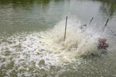 怎么处理浑浊的养殖水体,可在天气晴朗时泼洒净水剂