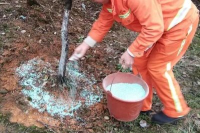根外追肥的优点,肥料用量小且损失少
