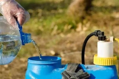 白术苗前除草剂的的选择,氟乐灵乳油和草胺乳油适合播种前除草