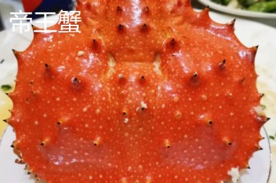 皇帝蟹的原产地，原产于澳大利亚的塔斯马尼亚岛