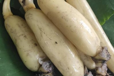 山东桓台县的特产,有马踏湖莲藕、荆家四色韭黄等