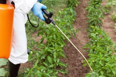 除草剂能和杀虫剂混用吗,可以和菊酯类杀虫剂混用