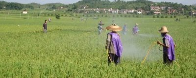 为什么禁用二氯丙烯,其对人体有着非常大的危害