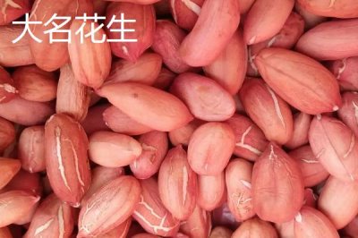 河北大名县的特产，大蒜种全国驰名