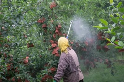 磷酸二氢钾叶面肥的使用方式,一般使用叶面喷施的方式