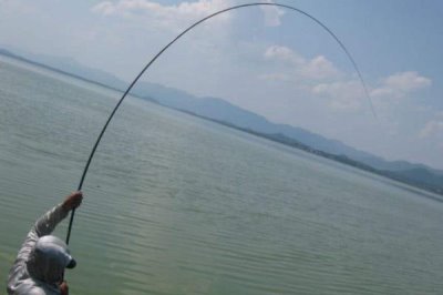 传统钓是什么,泛指除台钓和路亚钓外的其他钓法