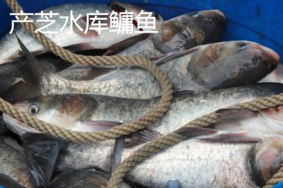 山东莱西的特产,是国务院确定的沿海地区对外开放县市之一