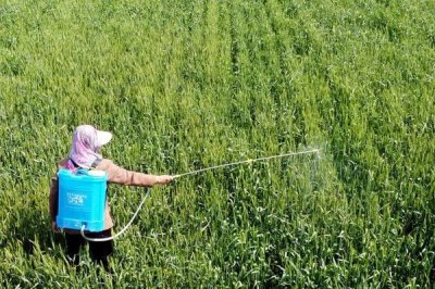 草甘膦除草剂的配制方式,以甘氨酸、亚磷酸二烷基酯为原料制作成本低
