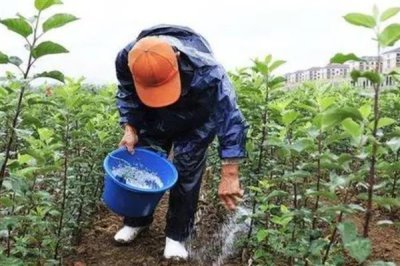 复合肥的标准标识，应标注出养分含量、国家标准肥料名称等信息