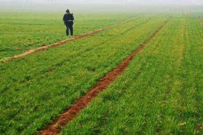 一亩地等于多少平方米,等于666.67平方米