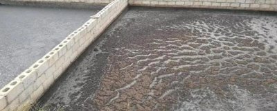 小型养猪场猪粪处理，可以把猪粪晒干或当有机肥料