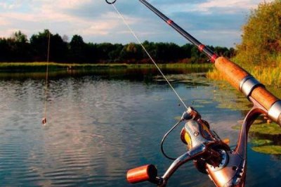 西南风天气能钓到鱼吗,鱼儿的活性明显下降