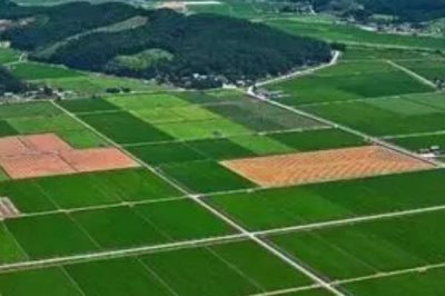 集体土地租赁的期限,集体土地租赁合同不可超过20年