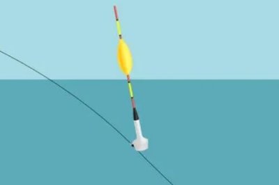 台钓鲤鱼如何有效调漂,先重铅找底、再逐渐修剪铅皮