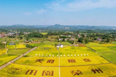 自贡市荣县的特产，有七厢土花生、留佳椪柑等