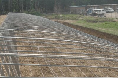 种植大棚蔬菜的成本和利润,初期每亩地的成本为7000元左右