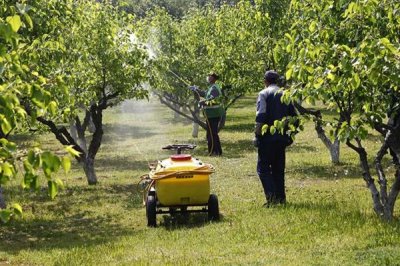 有哪些叶面肥，常见的有尿素、过磷酸钙等