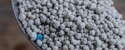 植物磷肥过多的危害,会出现代谢紊乱、果实过早成熟等问题