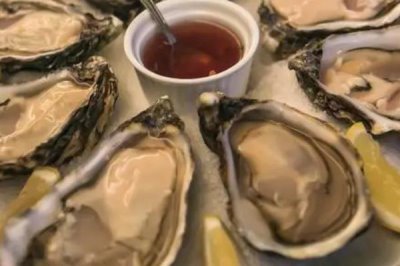 法国吉拉多牡蛎是什么品种,是凹型生蚝的一种