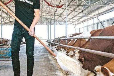 如何处理养殖场的污水,可采用物理、化学或生物处理法