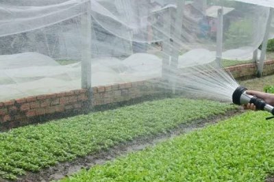 怎么给大棚蔬菜施冲施肥料,追肥与冲施肥相结合
