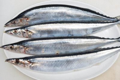 秋刀鱼是什么鱼,好吃但不可多吃