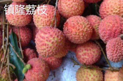 广东省四会市的特产,四会玉器闻名遐迩