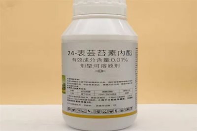芸苔素的使用方法,可以叶面喷施也可拌种
