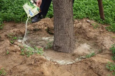 使用生根粉的方法,主要有浸泡、喷施、撒施等方式