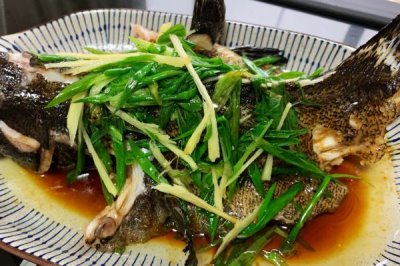 石斑鱼的产地在哪里,主要产地有浙江、广东、广西等