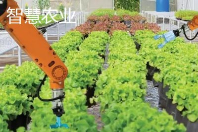 农村家庭致富项目,收购木材、加工有机肥都是可以考虑的选择