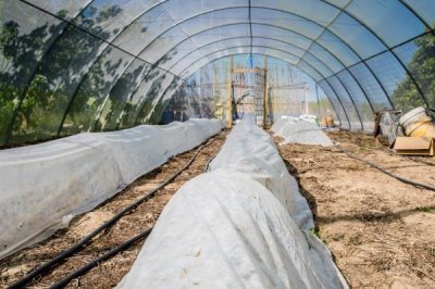 如何购买农膜，首先要看产品合格证