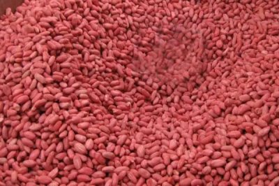 花生拌种技巧,药剂拌种较为理想