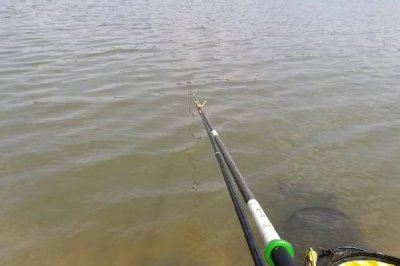 冬天为什么鱼难钓，冬天水温低也容易结冰