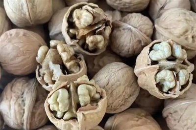 核桃的价格,一斤需要10-20元左右