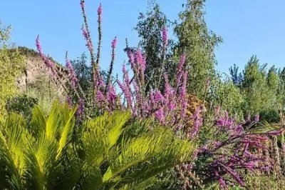 处暑节气的处的意思,可以理解为终结