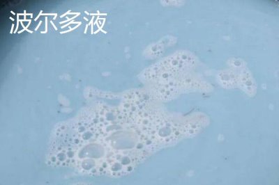 波尔多液使用方法,针对不同作物的使用方法不同