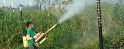 打芦苇用什么药,通常用草甘膦、草铵膦、硝烟莠去津等