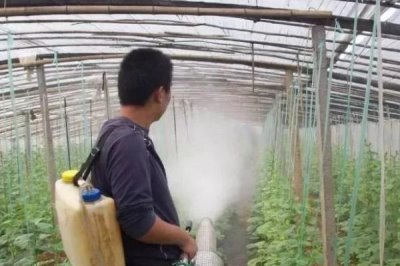 黄瓜叶子发黄的原因及防治方法，浇水过多或者施肥过度均会导致