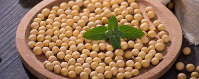 先豆10大豆种简介，选择中等肥力地块种植