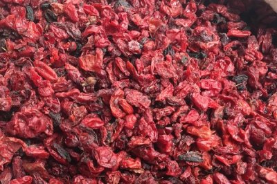 山茱萸种子怎么催芽,主要用浸泡方式